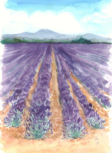 Puimoisson. Provance. Field by Natalia Nik, Other Media for Sale on Singulart