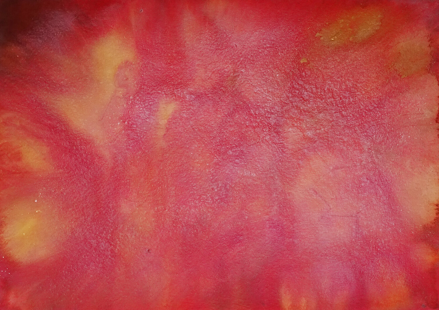Salt Desert Doreen Gehrke