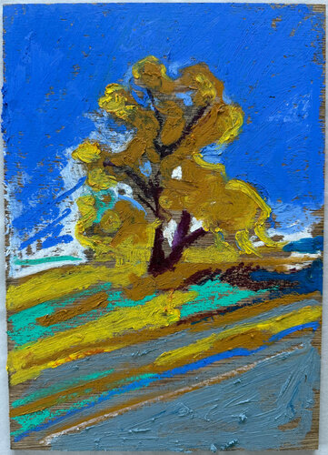 Cottonwood di James Vaulkhard, Pittura in vendita su Singulart