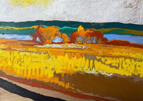 The Missouri River van James Vaulkhard, Schilderij te koop op Singulart