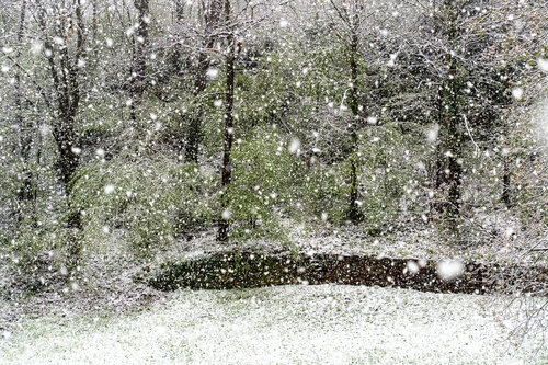 Inverno tardivo von Daniele Rogolino, Fotografie kaufen auf Singulart