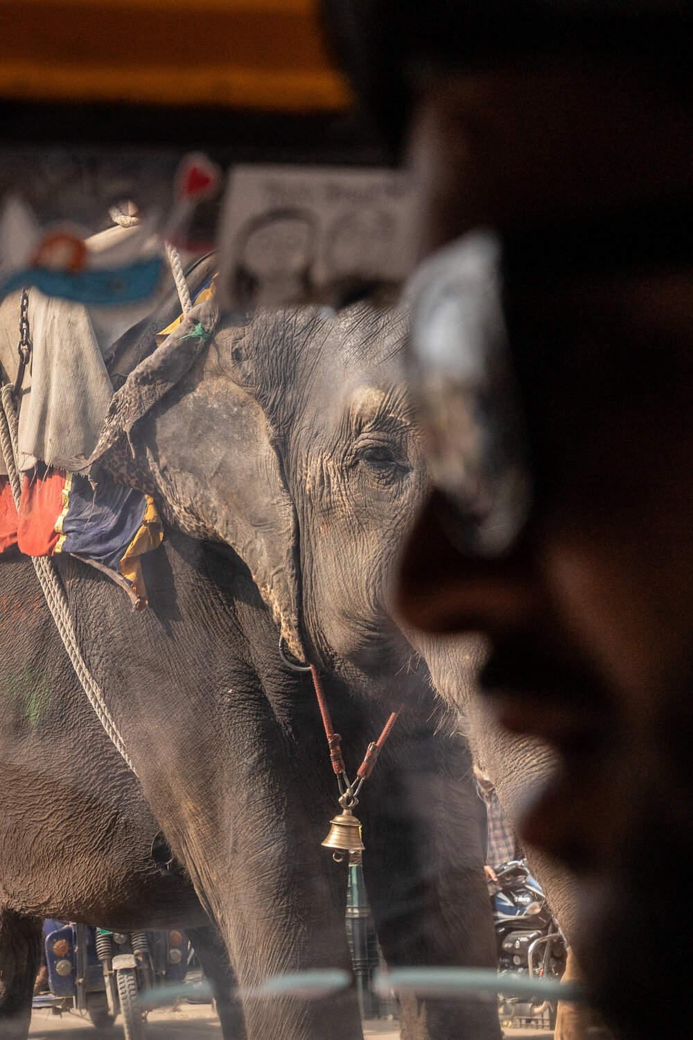 Due occhi, due mondi Daniele Rogolino