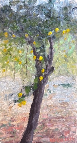 Lemon Tree van Natela Krutii, Schilderij te koop op Singulart