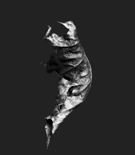 Zweite Schöpfung #2 di Sebastian Fink, Fotografia in vendita su Singulart