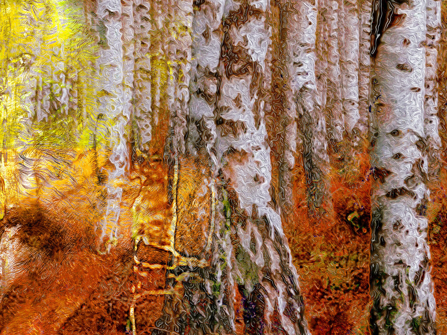 SHADOW FOREST 22 Eric Thuis