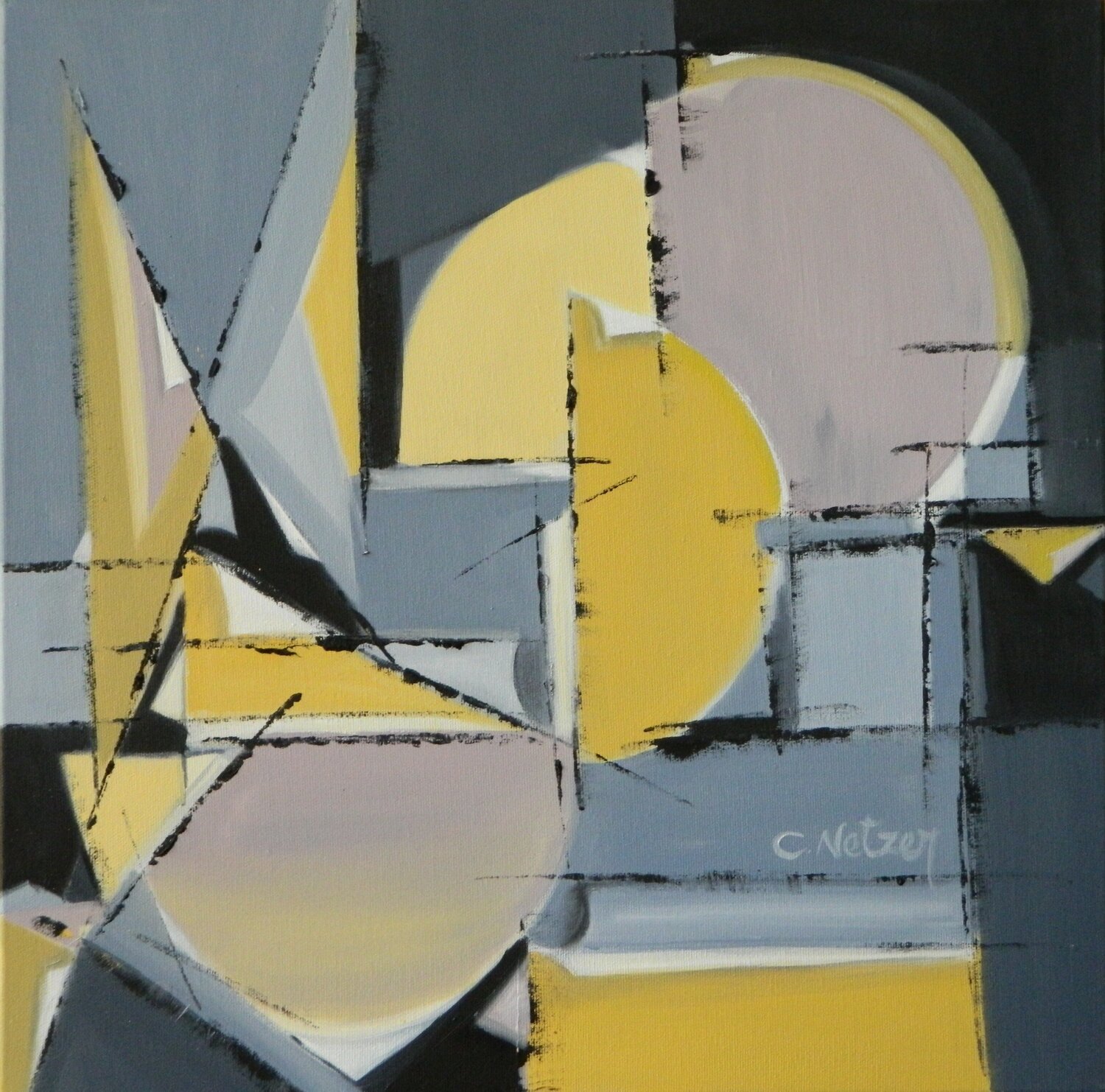 Soft Geometry Clari Netzer