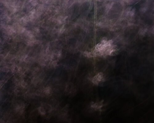 flowers that are blooming in the void par Jiro Hiraike, Photographie en vente sur Singulart