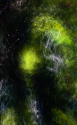 abstract(lotus) par Jiro Hiraike, Photographie en vente sur Singulart