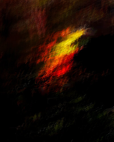 abstract (autumn leaves) no. 3 par Jiro Hiraike, Photographie en vente sur Singulart