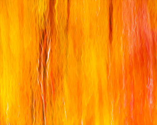 chromatic vision 8 par Jiro Hiraike, Photographie en vente sur Singulart