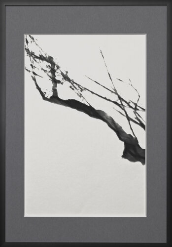 work on washi #2 di Jiro Hiraike, Fotografia in vendita su Singulart