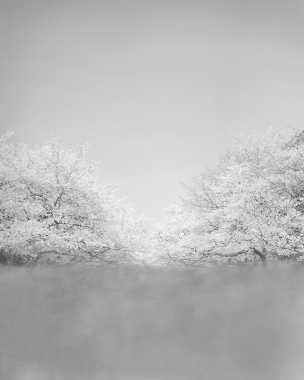 calmscape Jiro Hiraike