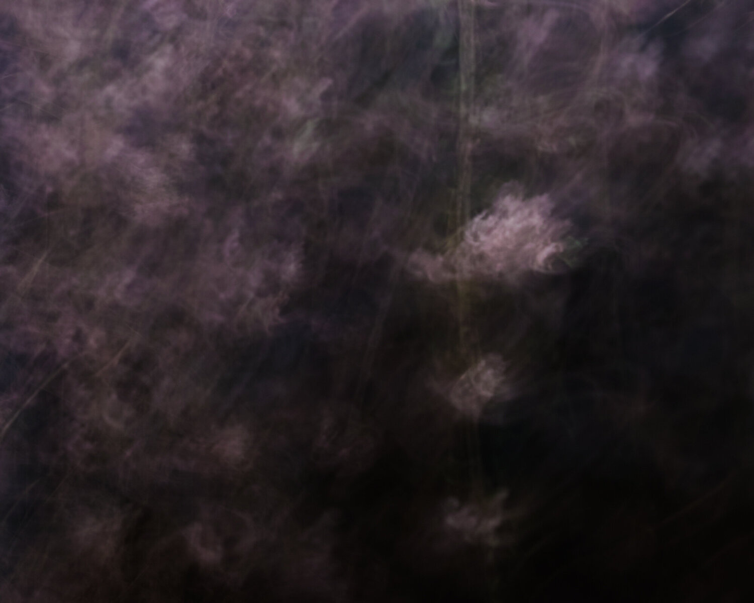 flowers that are blooming in the void Jiro Hiraike