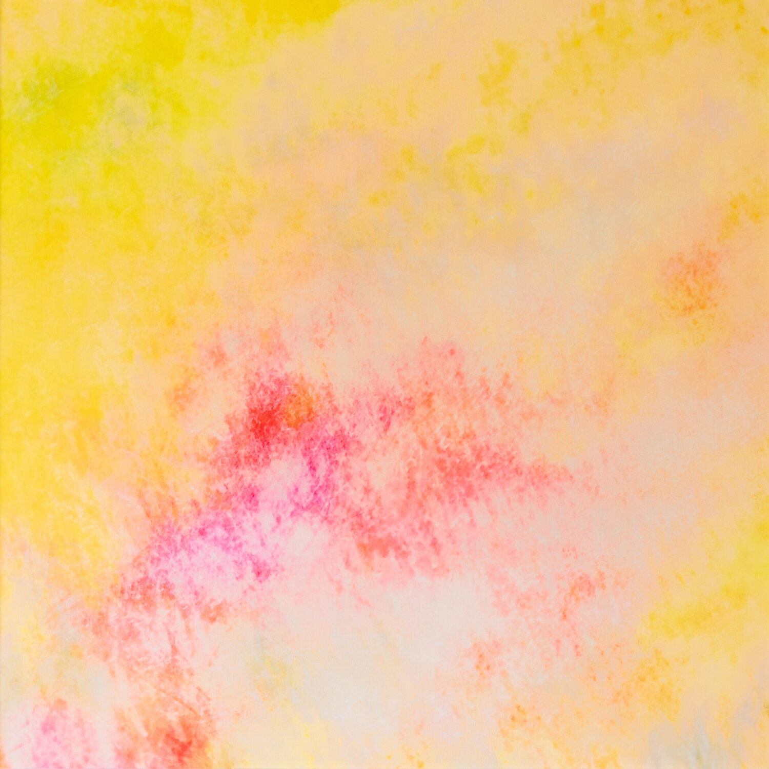 chromatic vision 6 Jiro Hiraike
