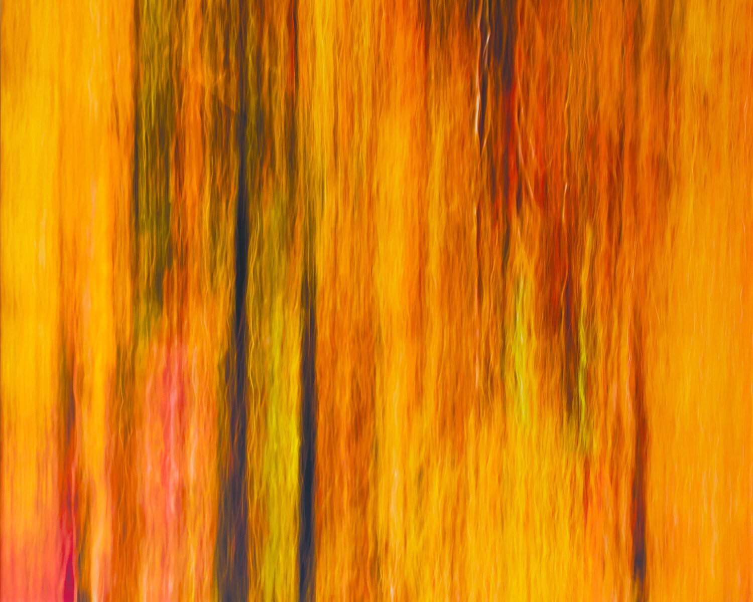 chromatic vision 7 Jiro Hiraike