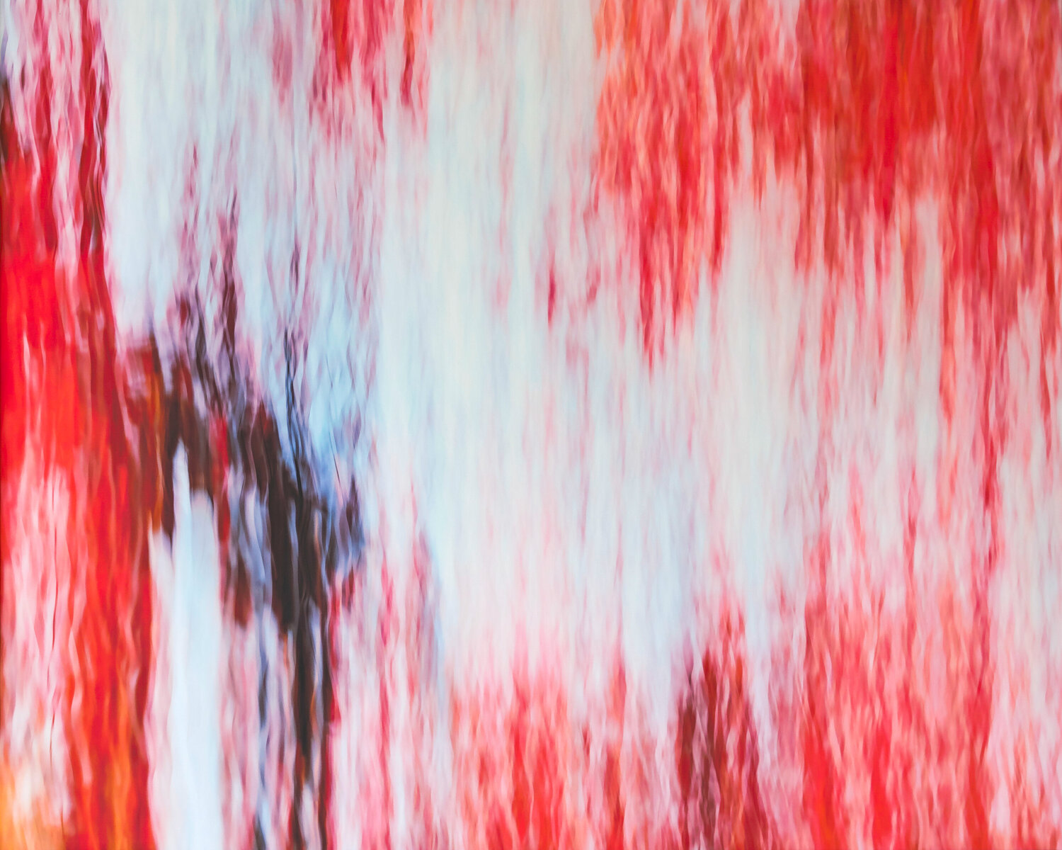 chromatic vision 10 Jiro Hiraike