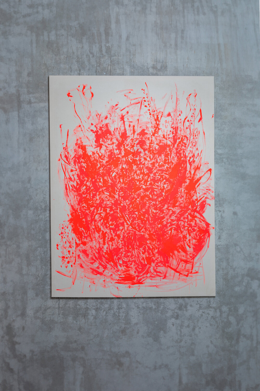 coming of age red Caitlin Schumacher