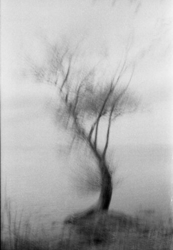 Sentinelle 1 by Fabrizio Vinti, 사진 for Sale on Singulart