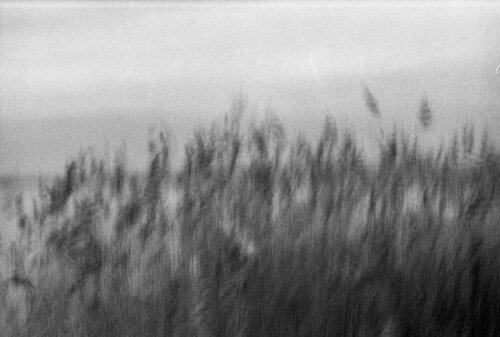 Mistic River von Fabrizio Vinti, Fotografie kaufen auf Singulart