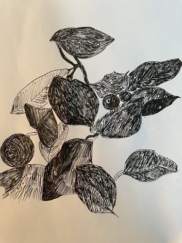 La bergamote van Valentina Rus, Werk op papier te koop op Singulart