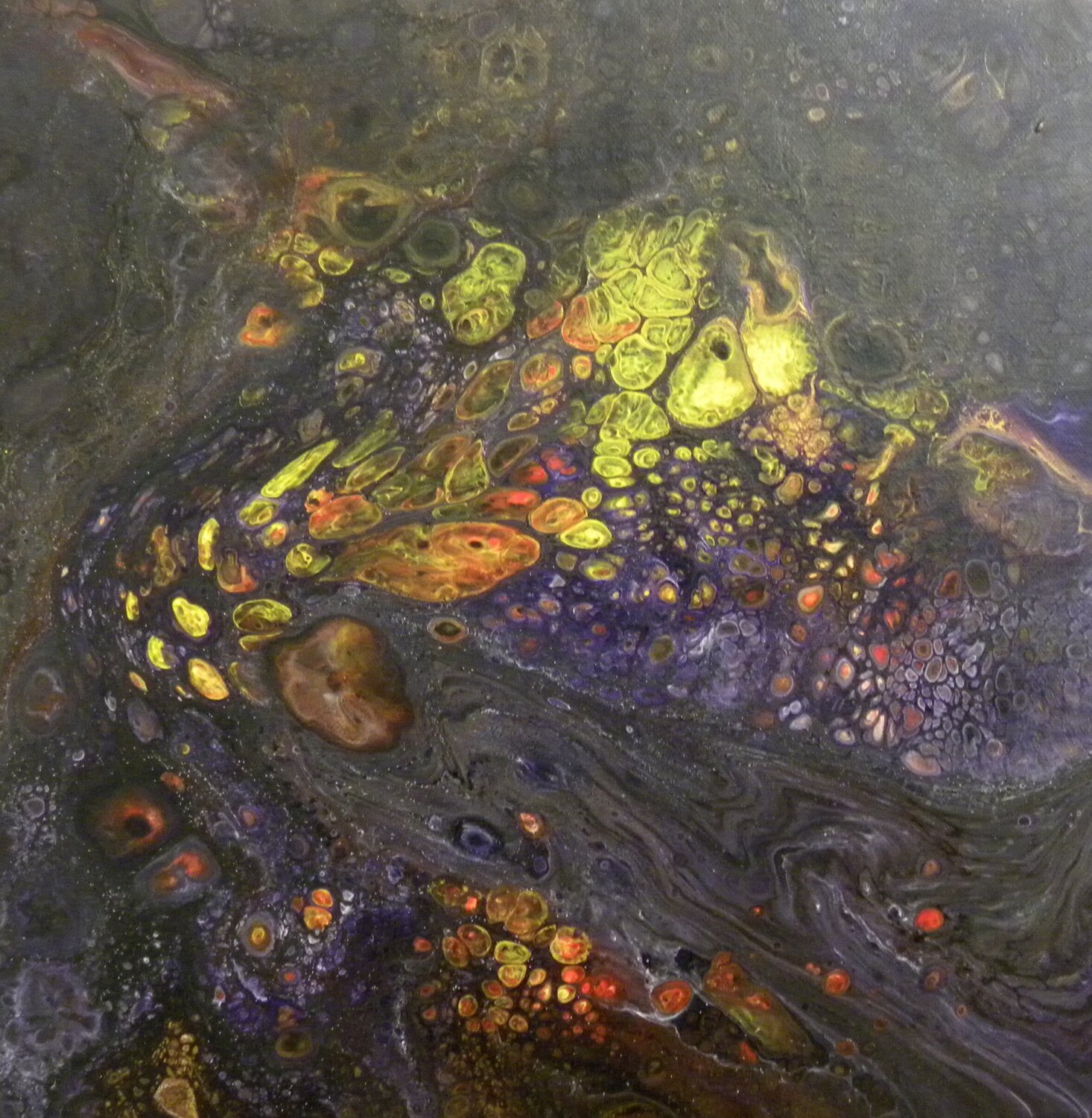 COLORS - 16019 Nicola Morea