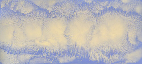 "Fluffy" di KOREYBA, Pittura in vendita su Singulart