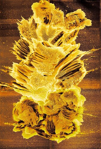"Fire Flower" di KOREYBA, Pittura in vendita su Singulart