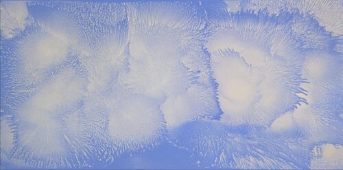 "Fluffy2" di KOREYBA, Pittura in vendita su Singulart