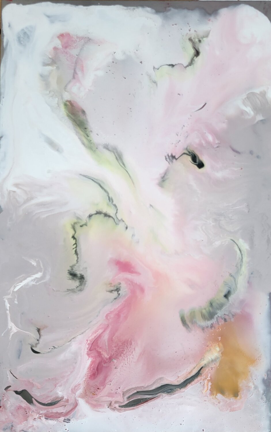Transient Beauty Ingeborg LUDWIG