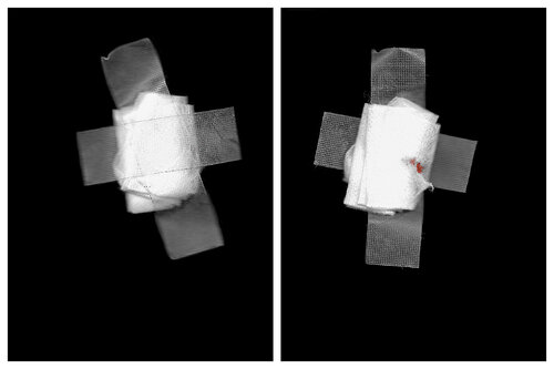 February 7, 2018 (Double-Crossed: Malevich) Parts One and Two by Bruce Eves, 사진 for Sale on Singulart