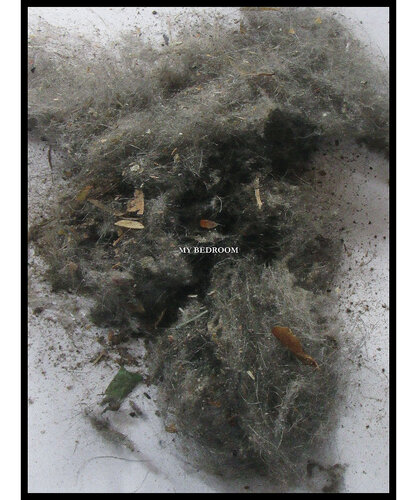 "April 5, 2015 (My Bedroom)" by Bruce Eves, Photography for Sale on Singulart