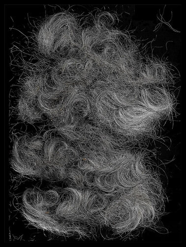 "Work # 816" June 20, 2020 (Frank Came Over and Cut My Hair)" von Bruce Eves, Fotografie kaufen auf Singulart