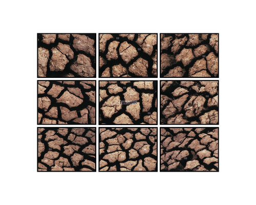 "Work # 671: Book Three -- Leviticus (Updated)" van Bruce Eves, Fotografie te koop op Singulart