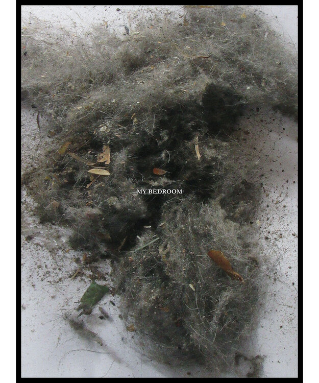 "April 5, 2015 (My Bedroom)" Bruce Eves