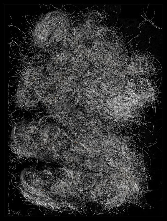 "Work # 816" June 20, 2020 (Frank Came Over and Cut My Hair)" Bruce Eves