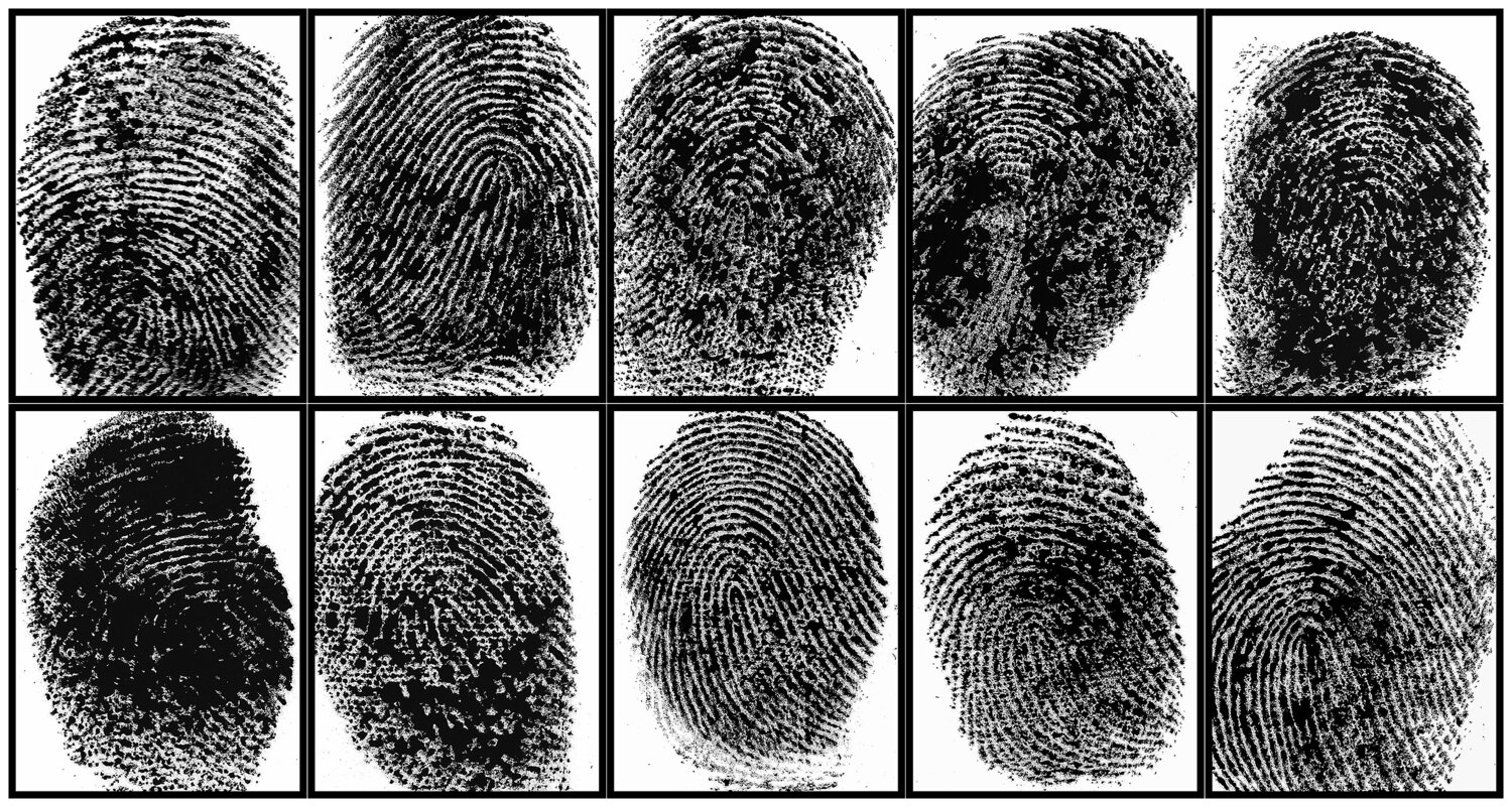Ten Clues in Search of a Motive Bruce Eves Fotografie zu verkaufen