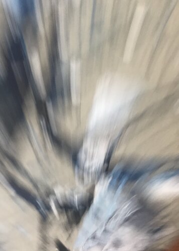 Colors in Flight 1 b by Jaroslav Toman, 사진 for Sale on Singulart