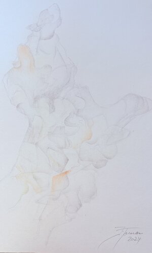 Versteinerte Geste par Jaroslav Toman, Œuvre sur papier en vente sur Singulart