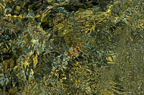 Les taches rouges von Gerald Leroy-Terquem, Fotografie kaufen auf Singulart