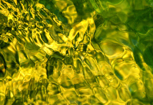 Remous et feuilles d'or von Gerald Leroy-Terquem, Fotografie kaufen auf Singulart