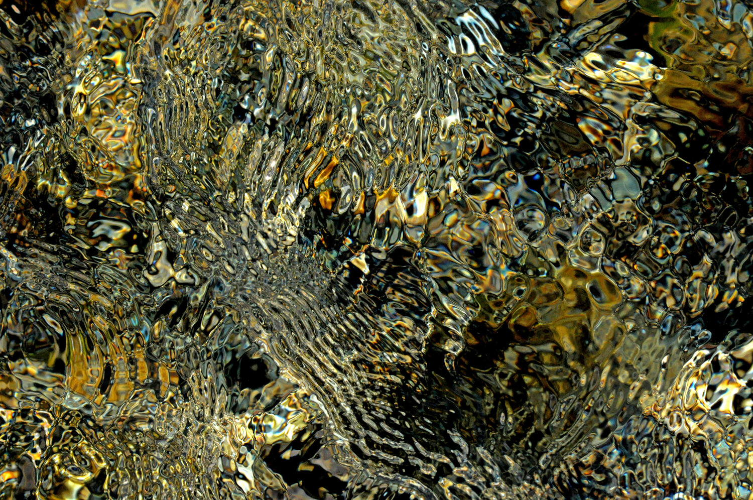 Couleurs émergentes Gerald Leroy-Terquem