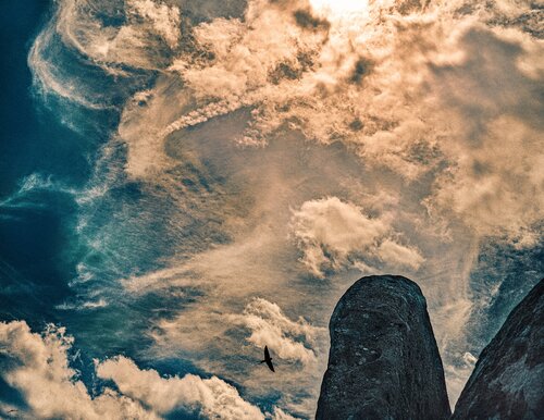 Swift at West Kennet Long Barrow by Raindog, Photography for Sale on Singulart