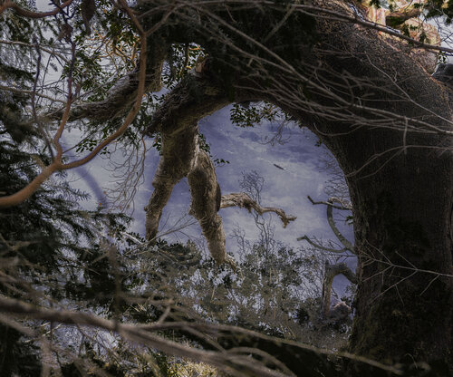 Witty's Lagoon, Vancouver Island von Raindog, Fotografie kaufen auf Singulart