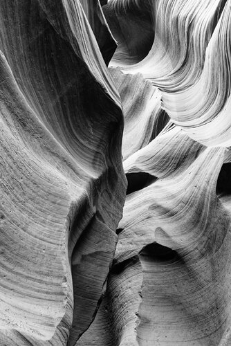 Antelope 4 di Pierre Piton, Fotografia in vendita su Singulart