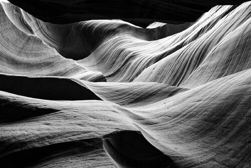 Antelope 6 par Pierre Piton, Photographie en vente sur Singulart