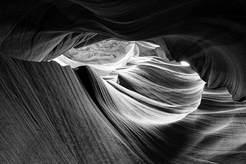 Antelope 12 di Pierre Piton, Fotografia in vendita su Singulart