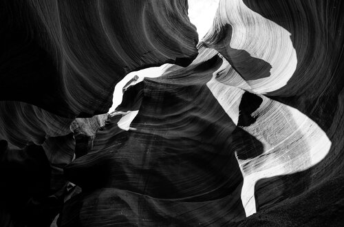 Antelope 13 by Pierre Piton, Photography for Sale on Singulart