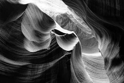 Antelope 14 di Pierre Piton, Fotografia in vendita su Singulart