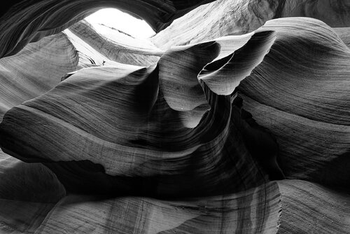 Antelope 15 di Pierre Piton, Fotografia in vendita su Singulart