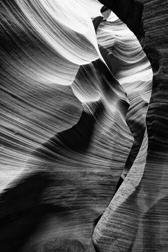 Antelope 16 di Pierre Piton, Fotografia in vendita su Singulart